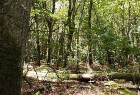 Begonte 12500&nbsp;m²