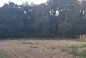 Begonte 12500&nbsp;m²