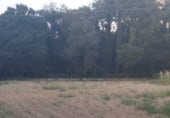 Земля на продажу у города Begonte Фото
