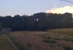 Begonte 12500&nbsp;m²