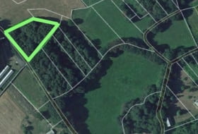 Begonte 12500&nbsp;m²