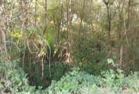Begonte 12500&nbsp;m²