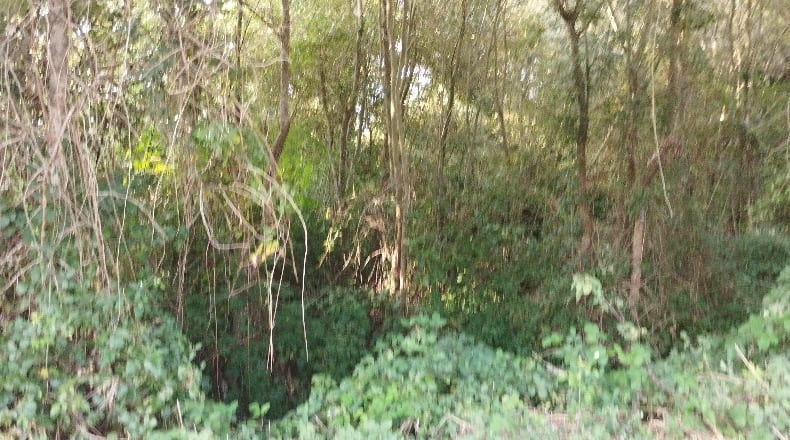 Lugo - Begonte - 12500m2