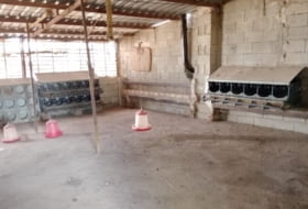 Foto 6