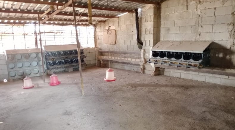 Malaga - Fuente de Piedra - 11000m2