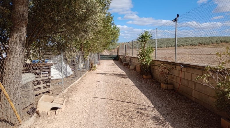 Malaga - Fuente de Piedra - 11000m2