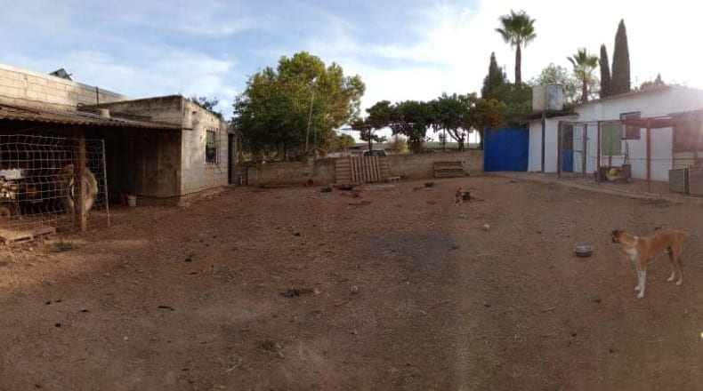 Malaga - Fuente de Piedra - 11000m2