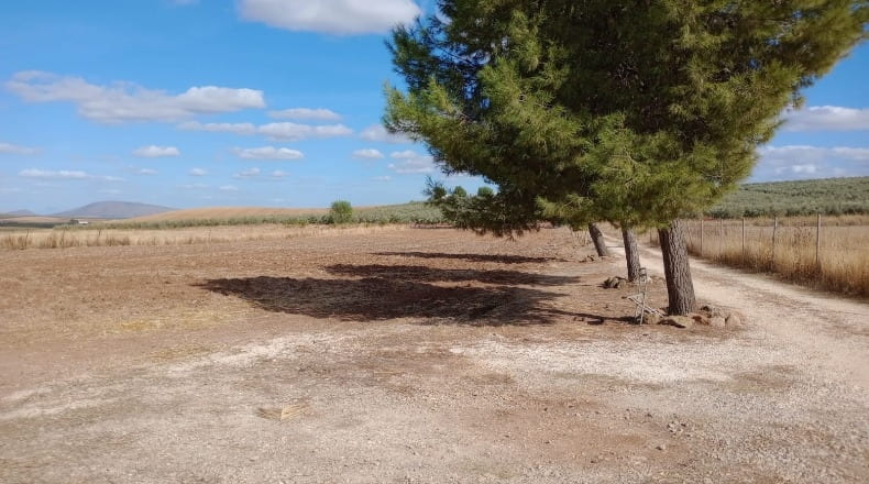 Malaga - Fuente de Piedra - 11000m2