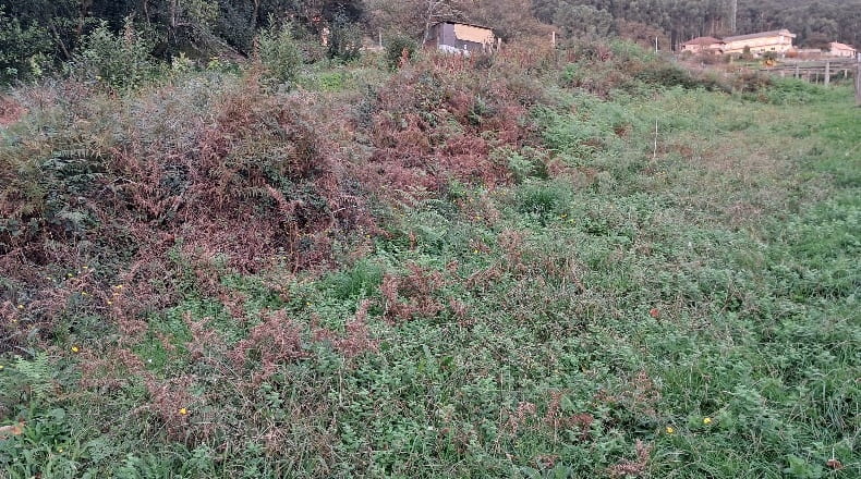 Pontevedra - O Casal - 783m2
