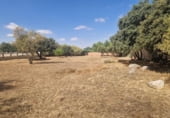 Terreno no urbanizable en venta en la España, Nuevo Baztán, ref: TR170542 foto