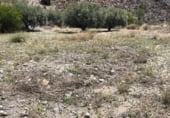 Terreno no urbanizable en venta en la Los Cegarra, ref: TR176250 foto