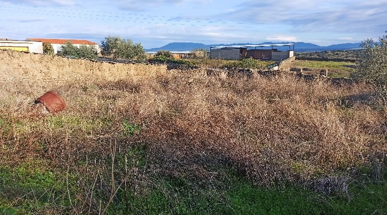 Cáceres - Hinojal - 166m2