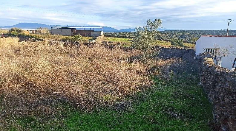 Cáceres - Hinojal - 166m2