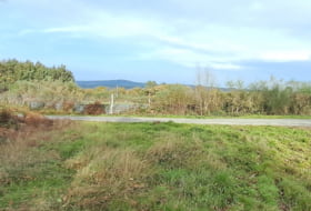Friol 20000&nbsp;m² 