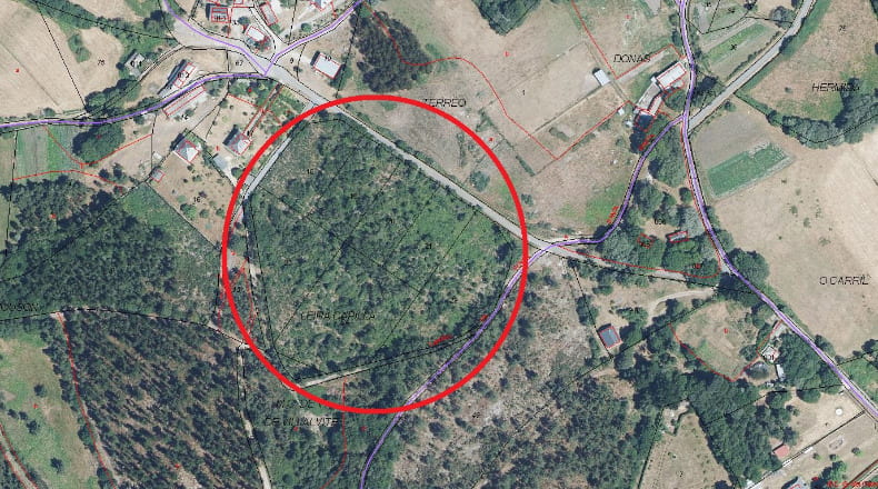 Lugo - Friol - 20000m2
