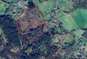 Friol 20000&nbsp;m² 