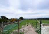 Land suitable for development for sale on Ribazo Blanco, Murillo el Cuende, ref: TR184819 photo