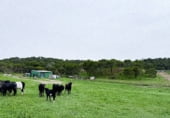 Land suitable for development for sale on Ribazo Blanco, Murillo el Cuende, ref: TR184819 photo