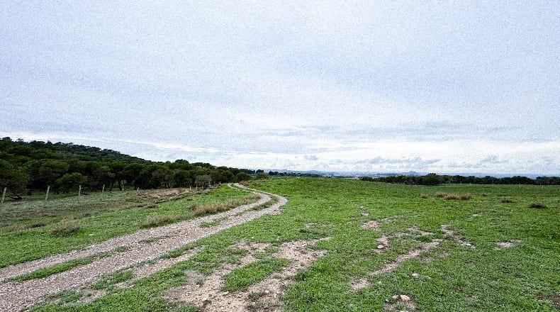 Navarre - Murillo el Cuende - 115383m2