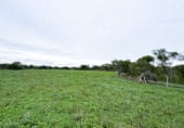 Land suitable for development for sale on Ribazo Blanco, Murillo el Cuende, ref: TR184819 photo