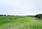 Land suitable for development for sale on Ribazo Blanco, Murillo el Cuende, ref: TR184819 photo