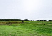 Land suitable for development for sale on Ribazo Blanco, Murillo el Cuende, ref: TR184819 photo