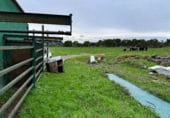Land suitable for development for sale on Ribazo Blanco, Murillo el Cuende, ref: TR184819 photo