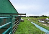 Land suitable for development for sale on Ribazo Blanco, Murillo el Cuende, ref: TR184819 photo