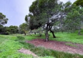 Land suitable for development for sale on Ribazo Blanco, Murillo el Cuende, ref: TR184819 photo