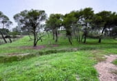 Land suitable for development for sale on Ribazo Blanco, Murillo el Cuende, ref: TR184819 photo