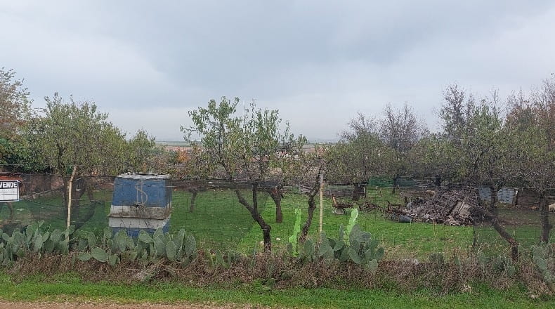 Ciudad Real - Almodóvar del Campo - 10000m2