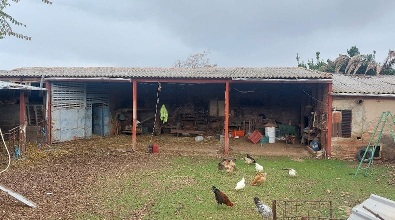 Ciudad Real - Almodóvar del Campo - 10000m2