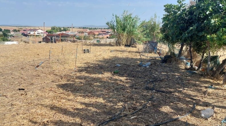 Ciudad Real - Almodóvar del Campo - 10000m2