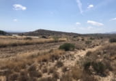 Terreny amb magatzem en venda a la Altabix - P2, Elx, ref.: TR185847 foto