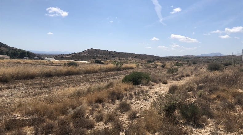 Alicante - Elx - 24000m2