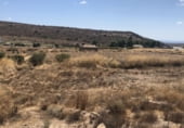 Terreny amb magatzem en venda a la Altabix - P2, Elx, ref.: TR185847 foto