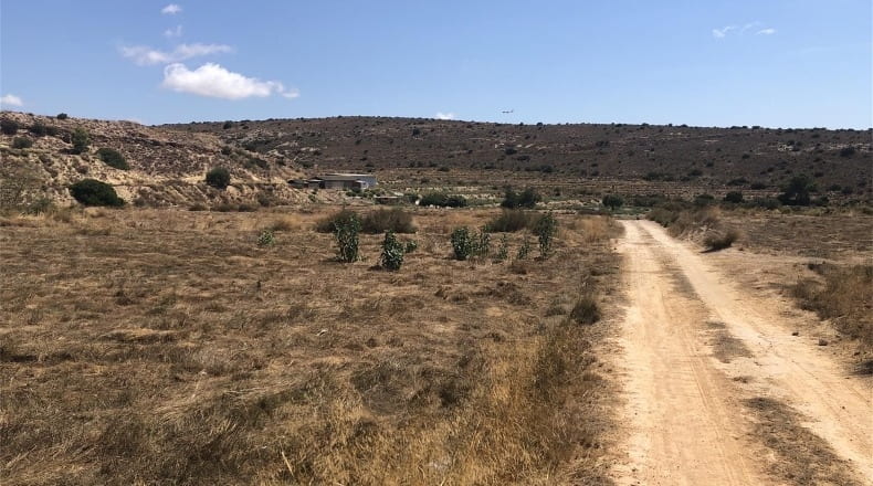 Alicante - Elx - 24000m2
