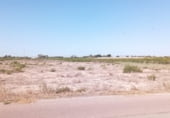 Terreny no urbanitzable en venda a la Valverde, Elx, ref.: TR185894 foto