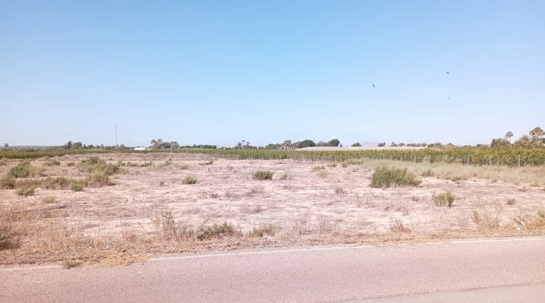 Alicante - Elche - 15500m2