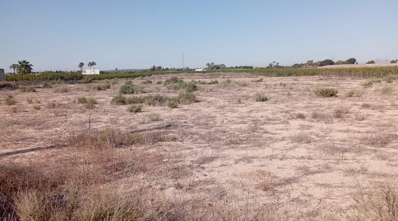 Alicante - Elche - 15500m2