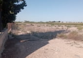 Terreny no urbanitzable en venda a la Valverde, Elx, ref.: TR185894 foto