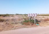 Terreny no urbanitzable en venda a la Valverde, Elx, ref.: TR185894 foto