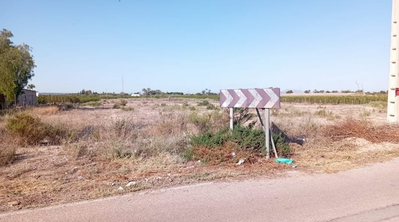 Alicante - Elche - 15500m2