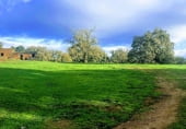 Non-developable land for sale on Polígonos 9 y 12, Villasbuenas de Gata, ref: TR187008 photo