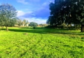 Non-developable land for sale on Polígonos 9 y 12, Villasbuenas de Gata, ref: TR187008 photo