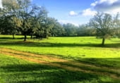 Non-developable land for sale on Polígonos 9 y 12, Villasbuenas de Gata, ref: TR187008 photo