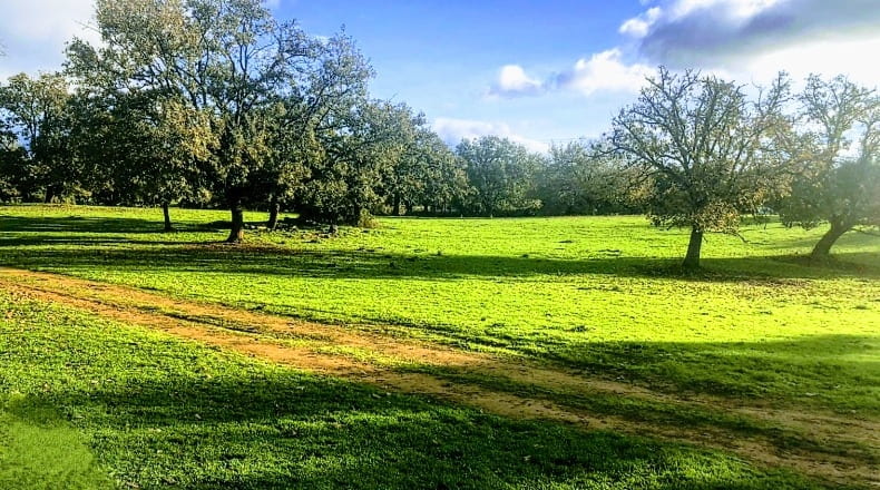 Caceres - Villasbuenas de Gata - 1500000m2
