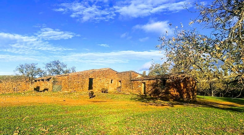 Caceres - Villasbuenas de Gata - 1500000m2