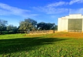 Non-developable land for sale on Polígonos 9 y 12, Villasbuenas de Gata, ref: TR187008 photo