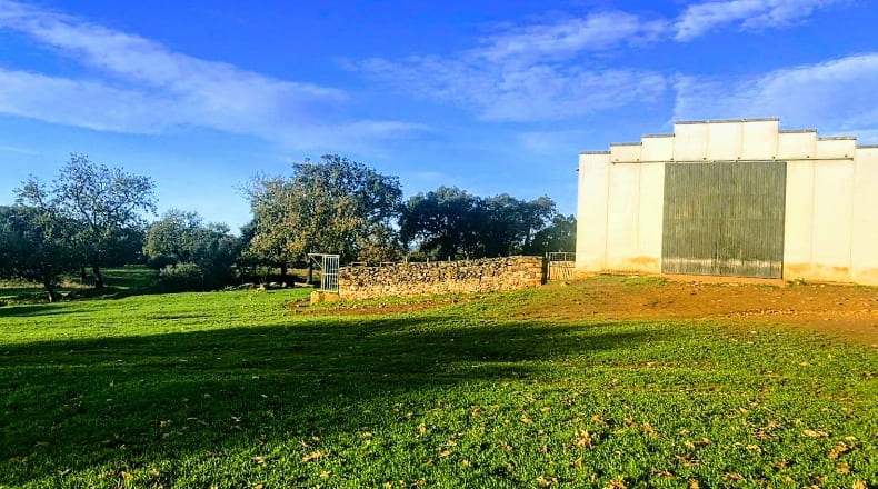 Caceres - Villasbuenas de Gata - 1500000m2